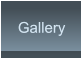 Gallery Gallery