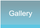 Gallery Gallery